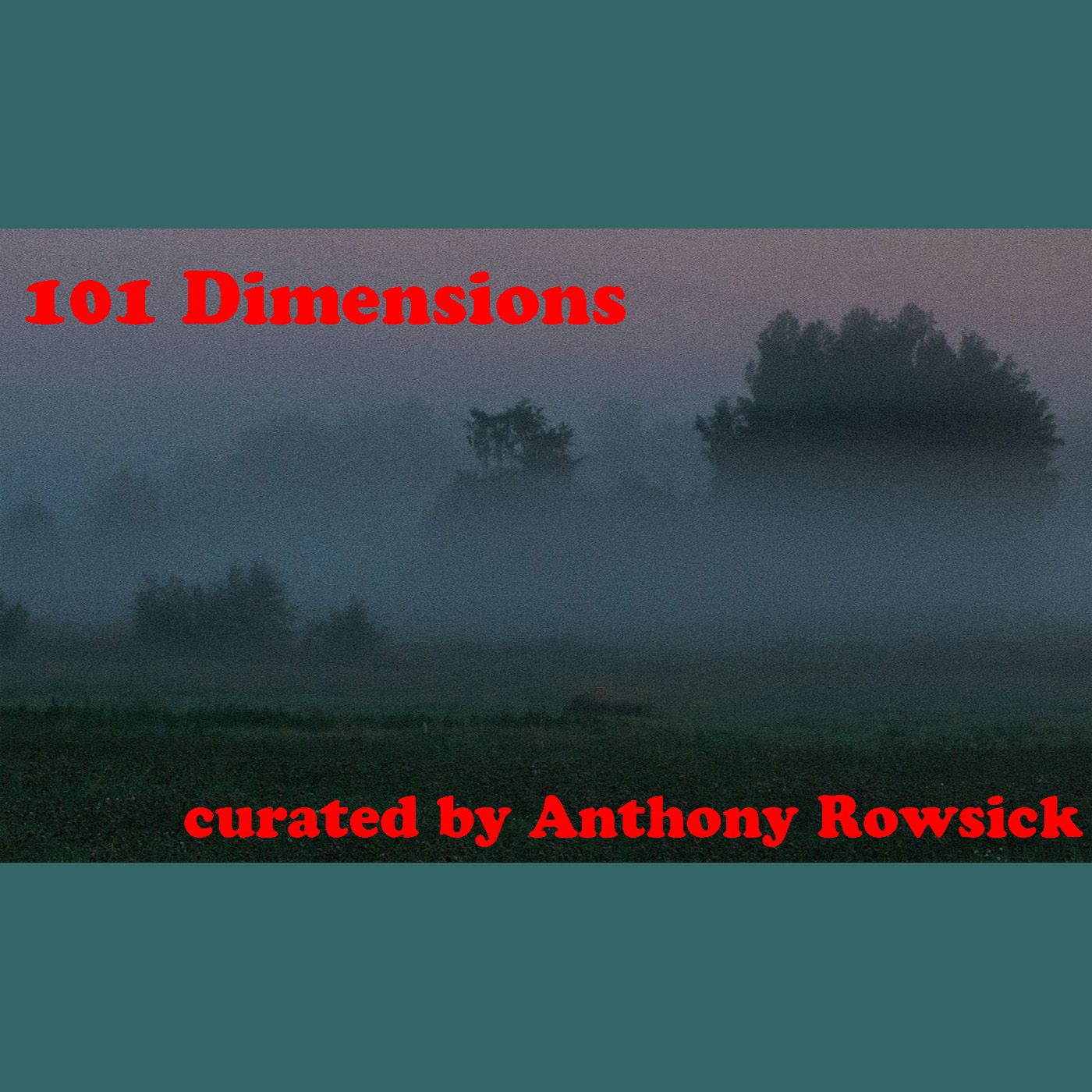 101 Dimensions - November 2021