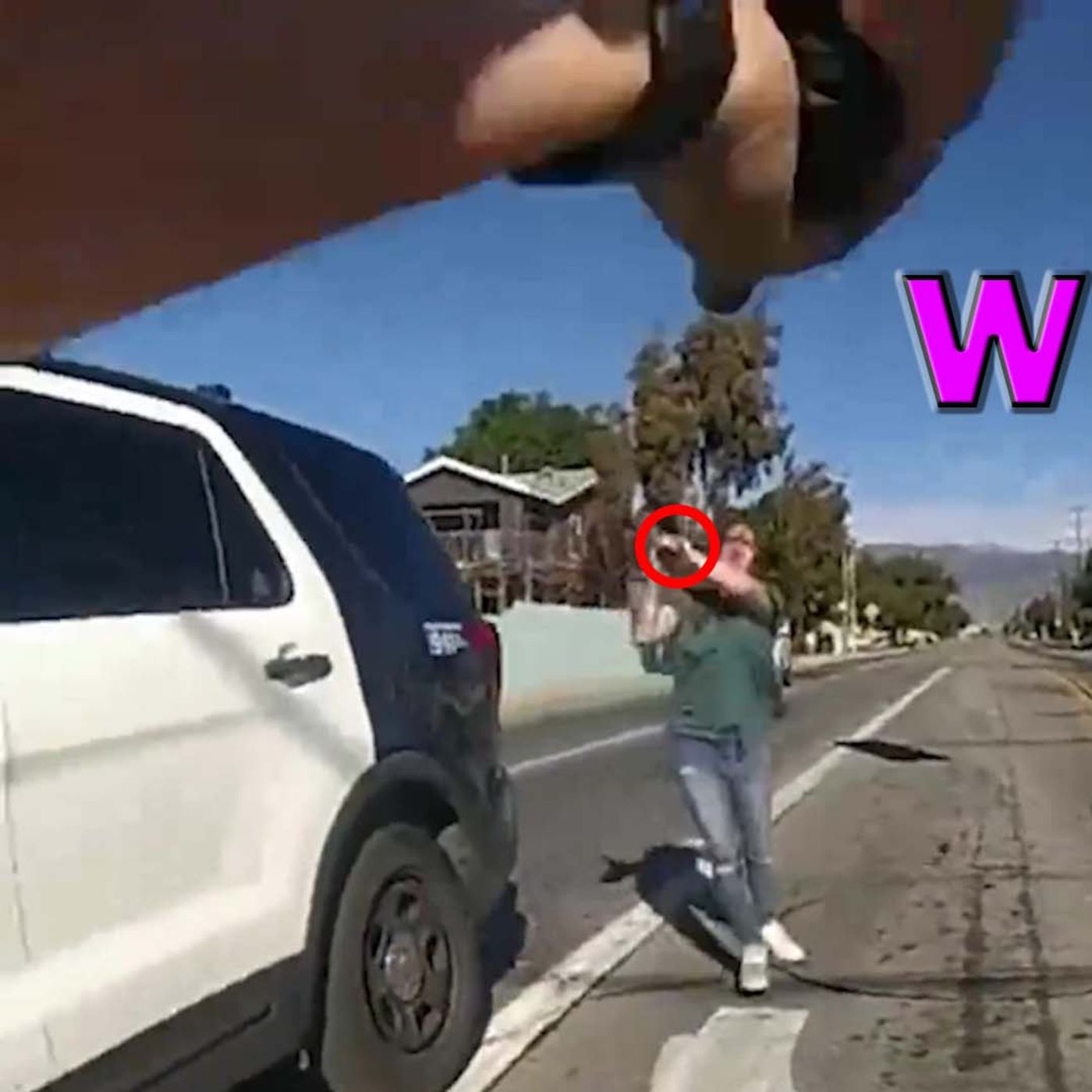 Lady With A Pipe Wrench Fatally Shot By Officers On Video - LEO Round Table S08E34 episode artwork