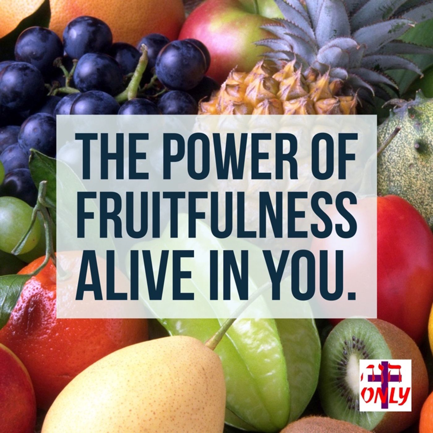 The Power of Fruitfulness Comes from Living in Vital Union with Christ Jesus. episode artwork