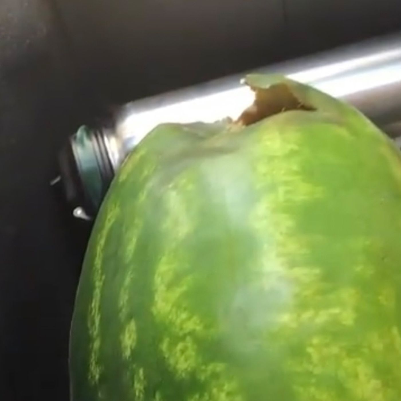 The unbelievable watermelon story + the show gets its first check!