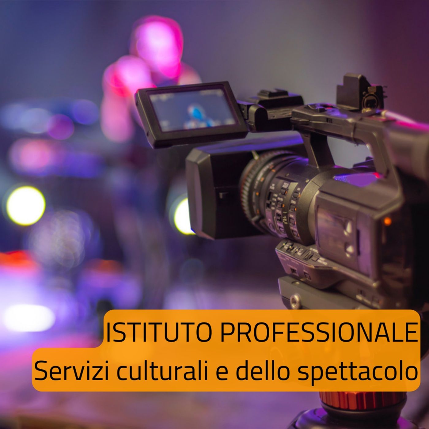 Istituto Piaget-Diaz del Quadraro podcast artwork