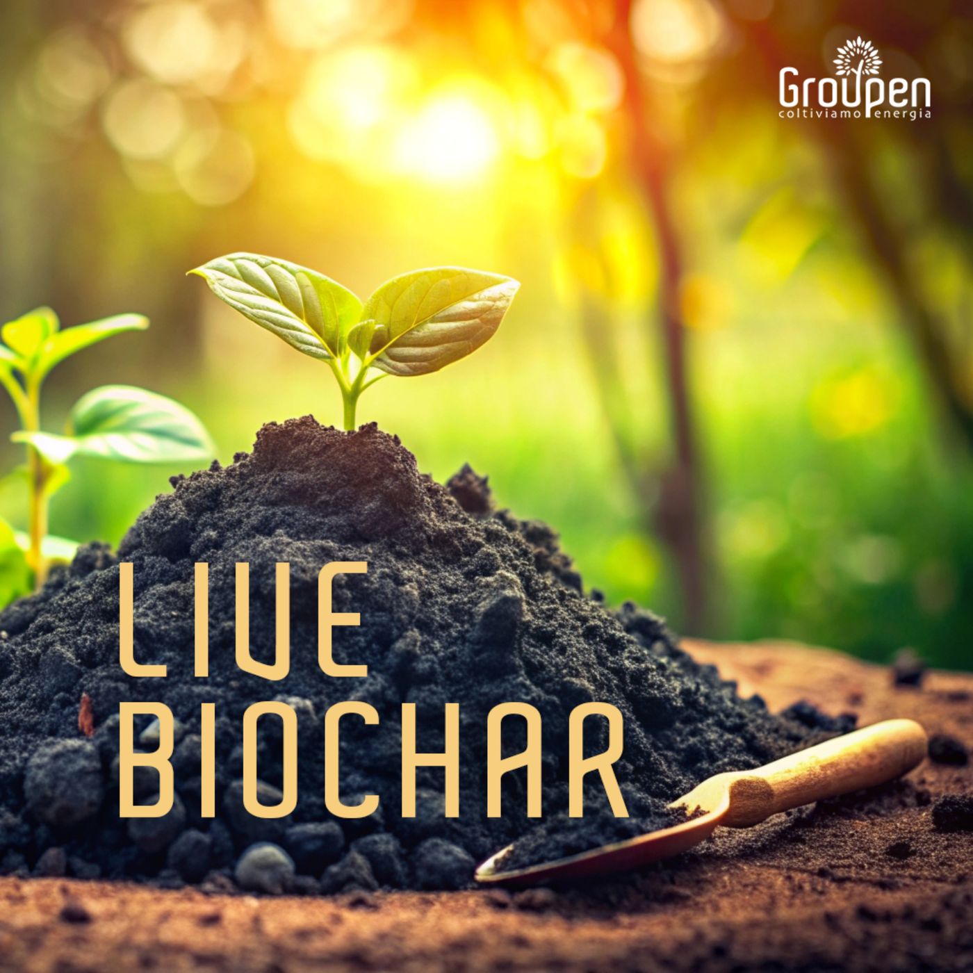Live biochar