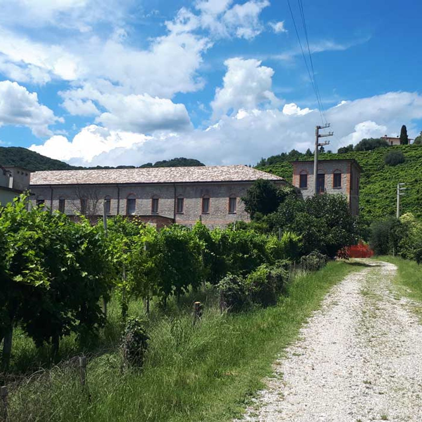 Tenute agricole e vitivinicole Italiane