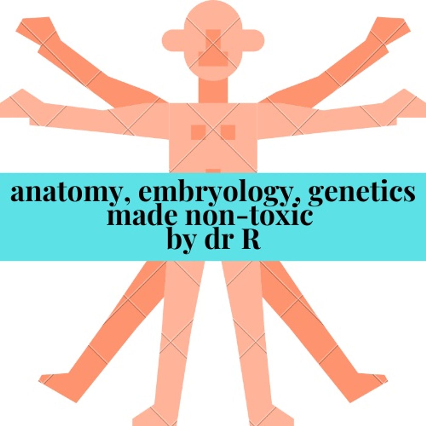 Anatomy Made Non-Toxic by Dr R