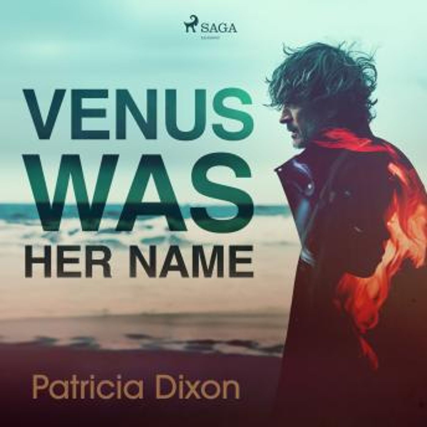 Download New Full Audiobooks in Fiction, Contemporary Women