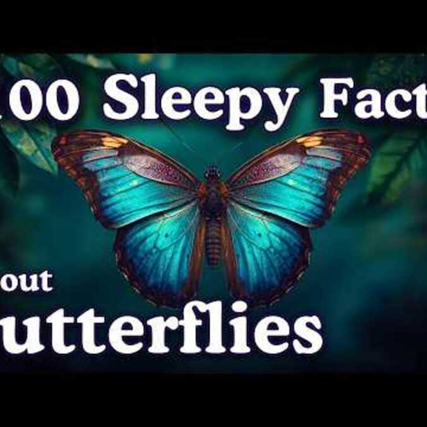 The Dreamy World of Butterflies _ 100 Facts to Fall Asleep To episode artwork