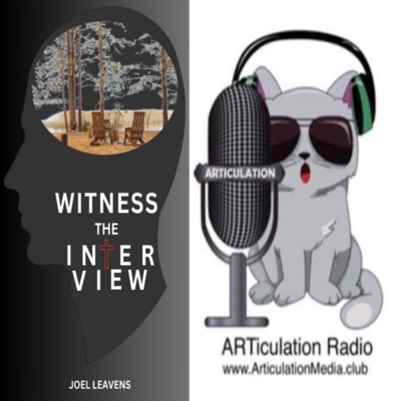 ARTiculation Radio — A GLAD FLY ON THE WALL (interview w/ Joel Leavens)