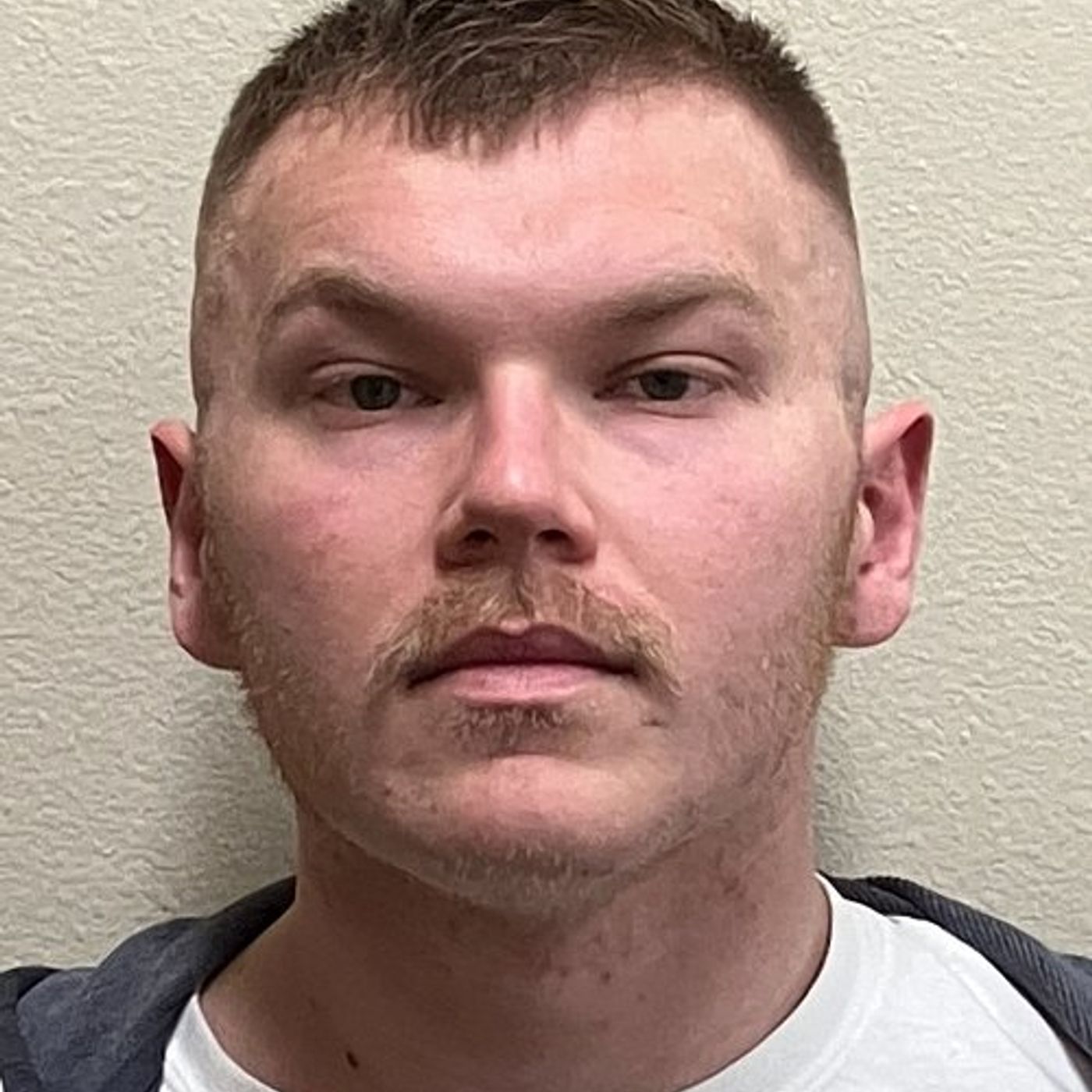 Wisconsin man charged with assault of child he allegedly lured from Harvard episode artwork