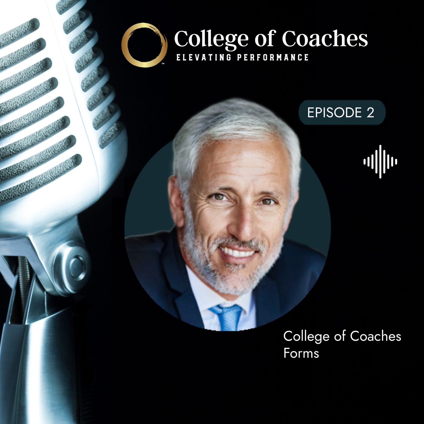 Elevating Performance (Audio)