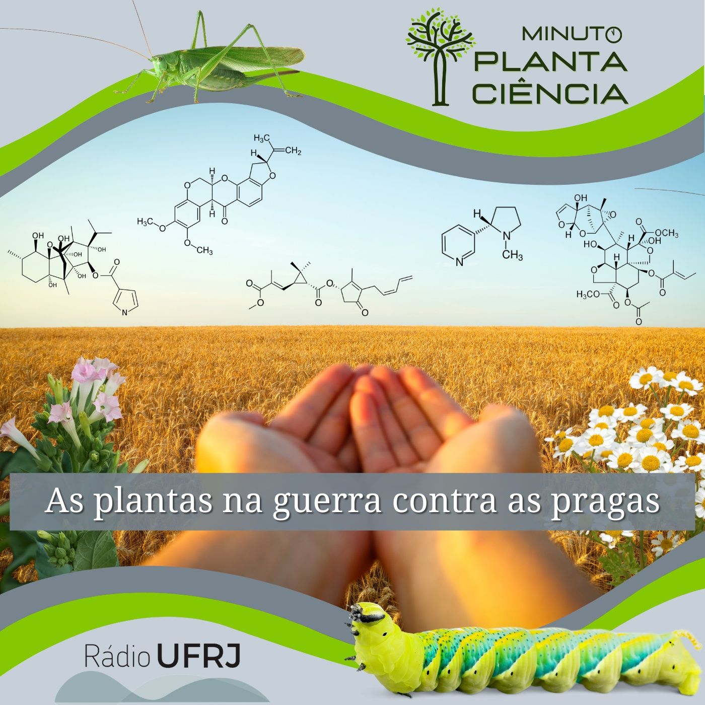 PlantaCiência