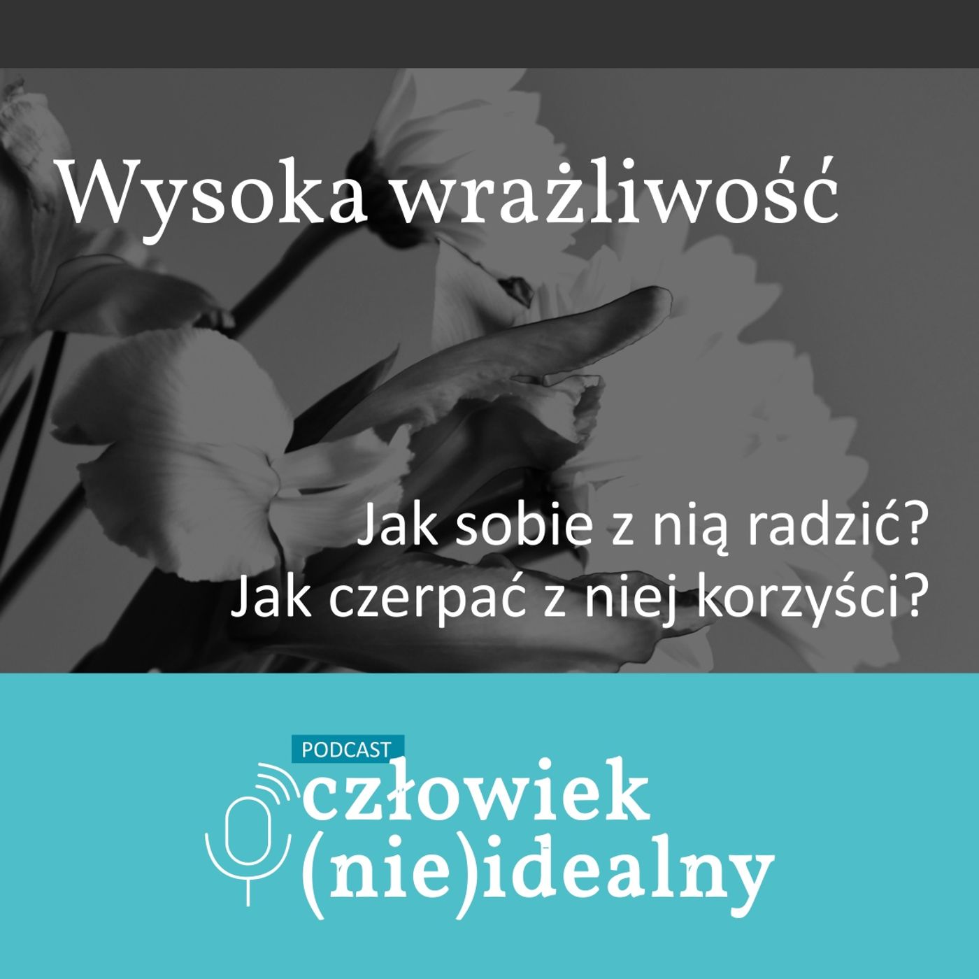 Człowiek (nie)idealny
