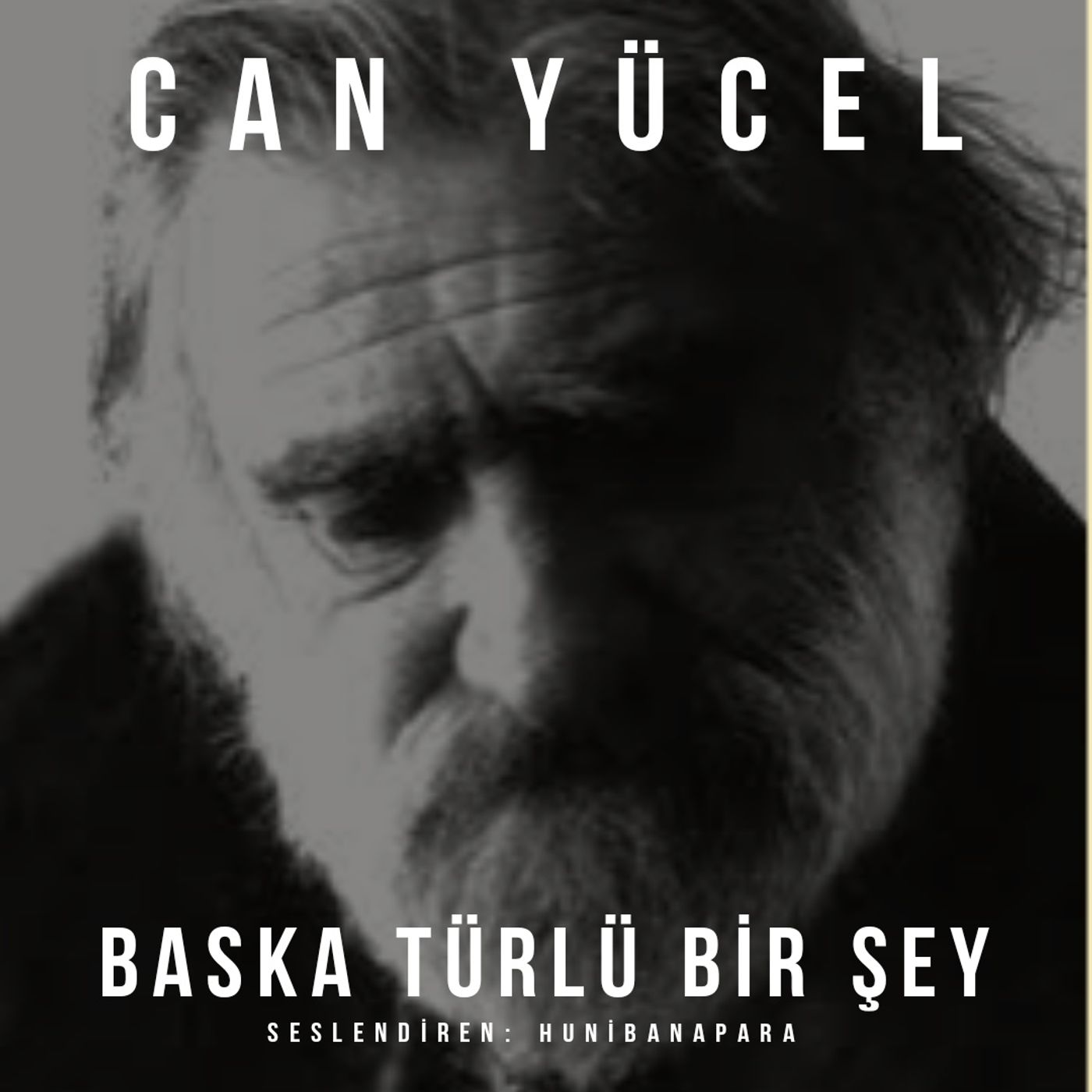 Şiirler ve Hikayeler