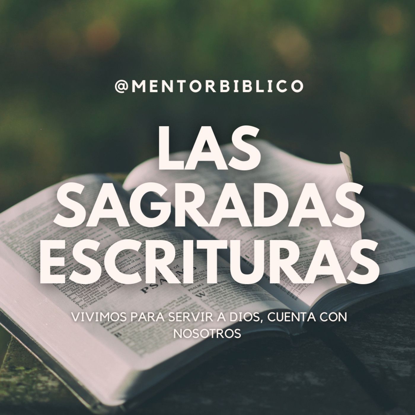 MENTOR BÍBLICO