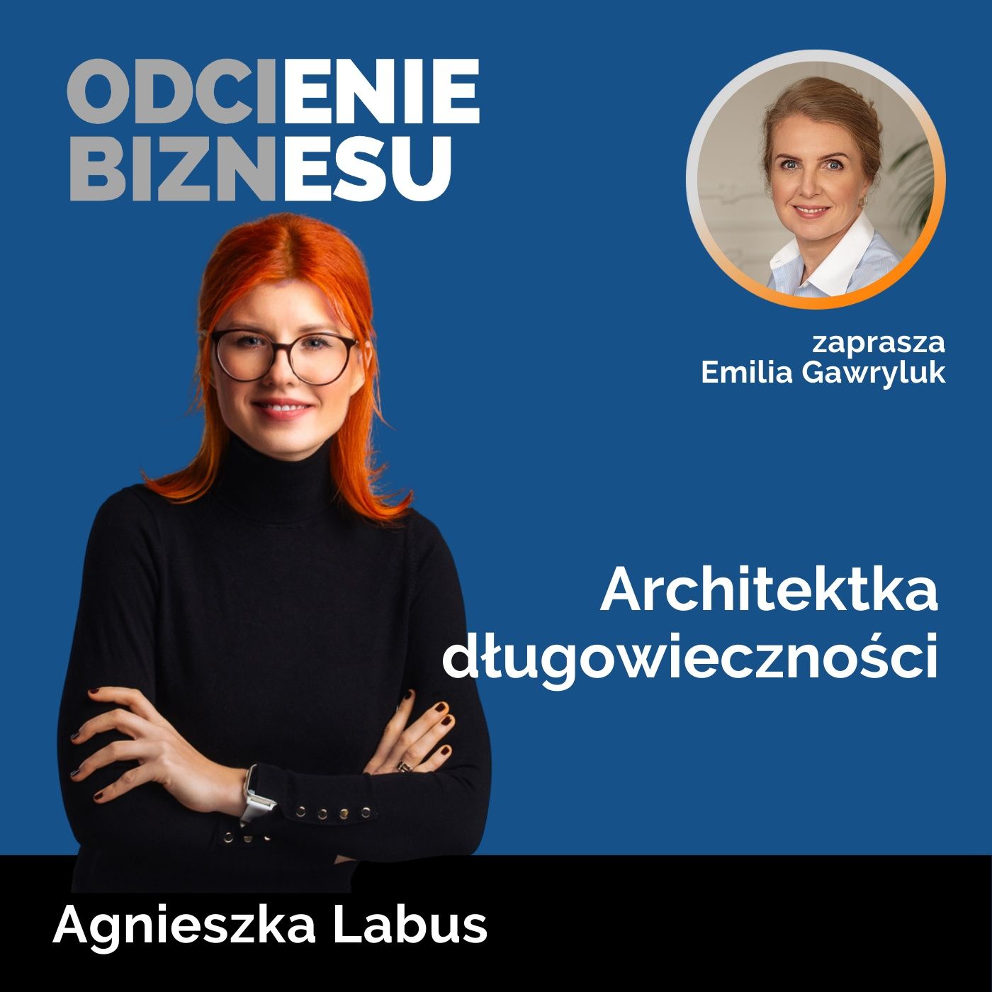 Odcienie biznesu