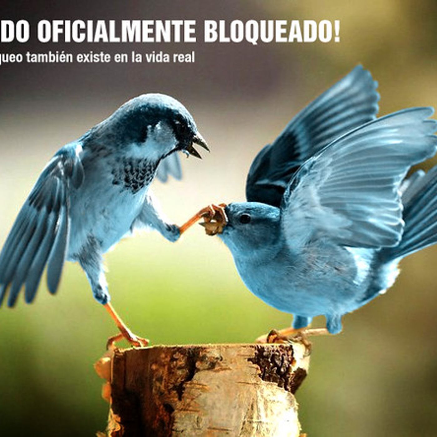 La historias de la vida cover art