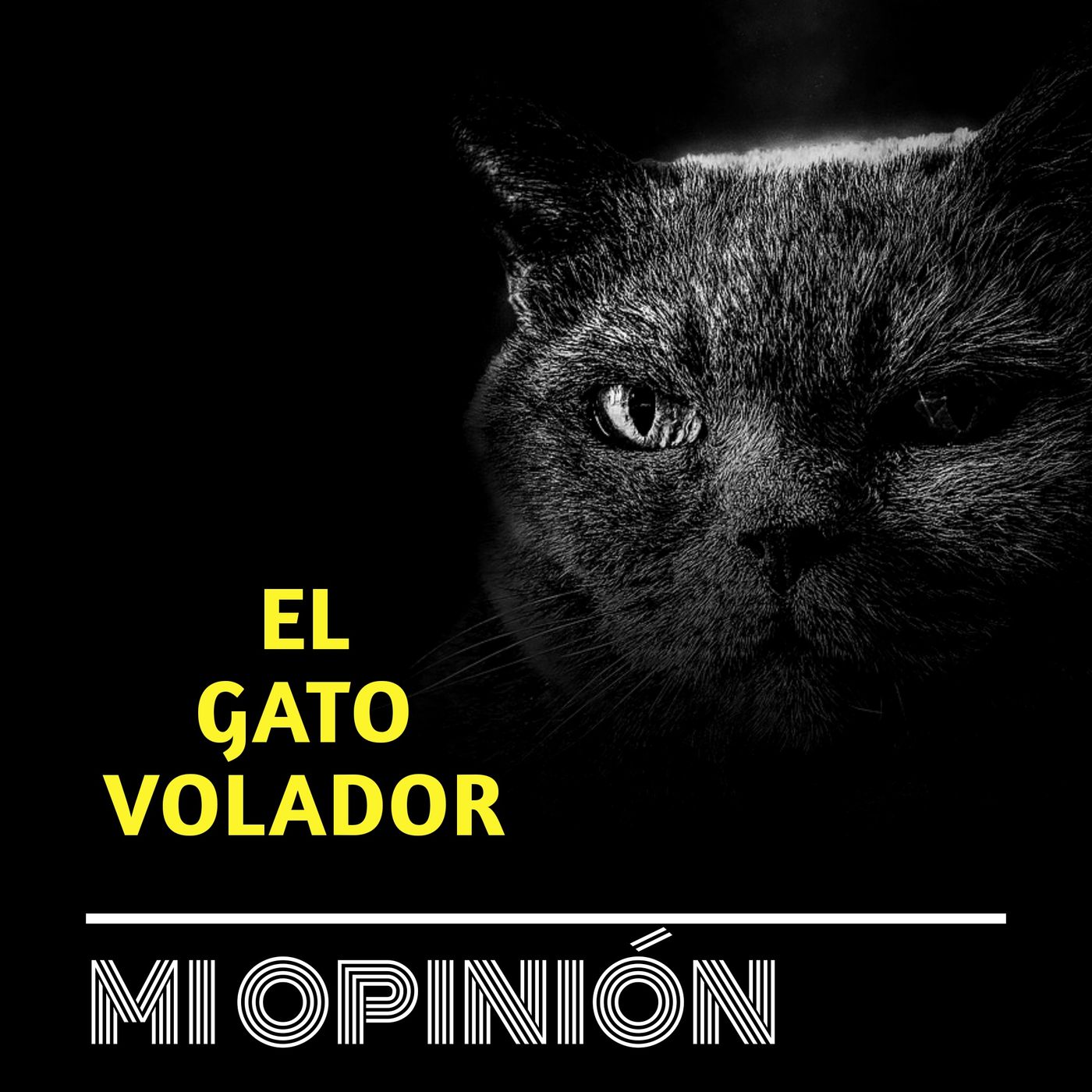 Mi Opinión