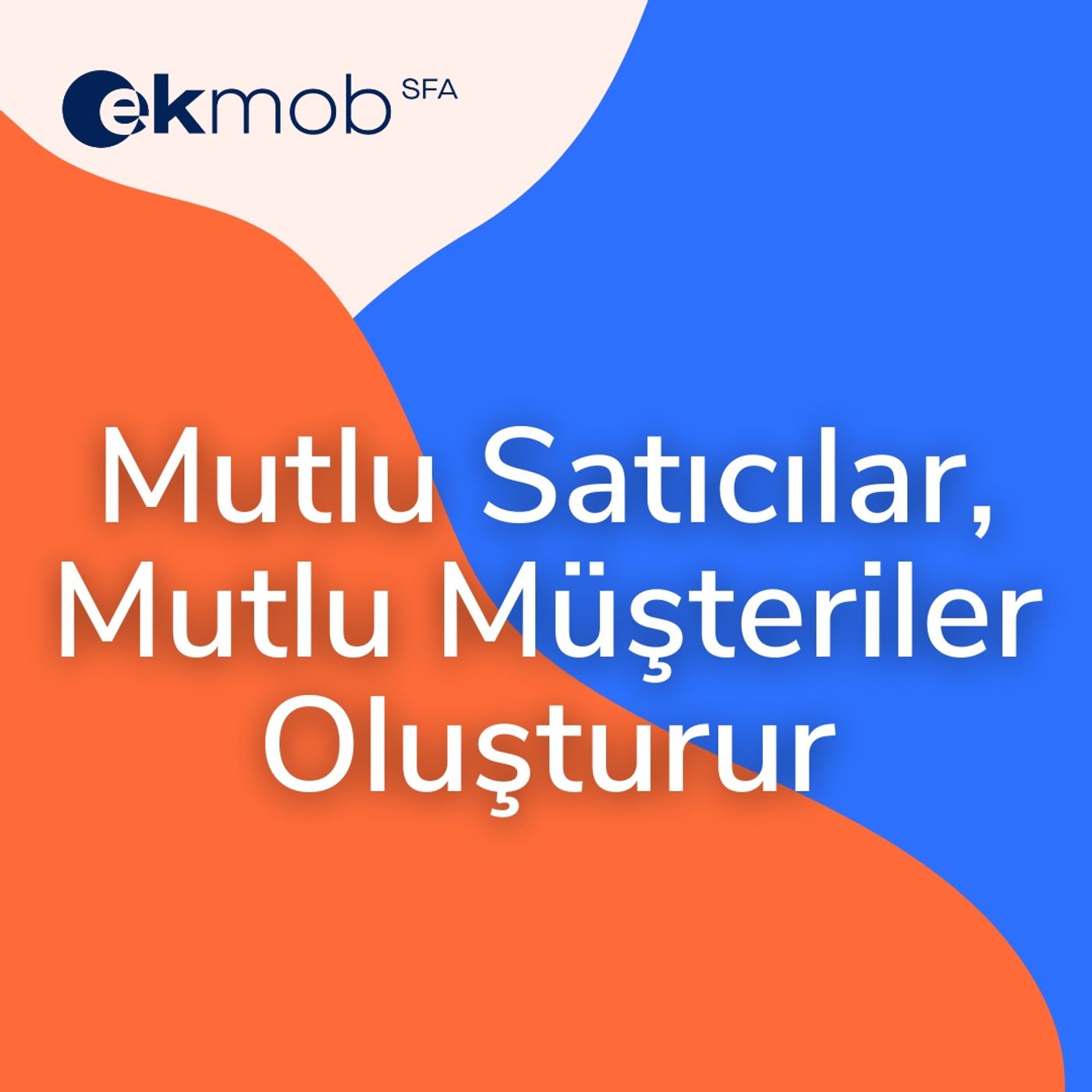 Satış Ekibi Yönetimi