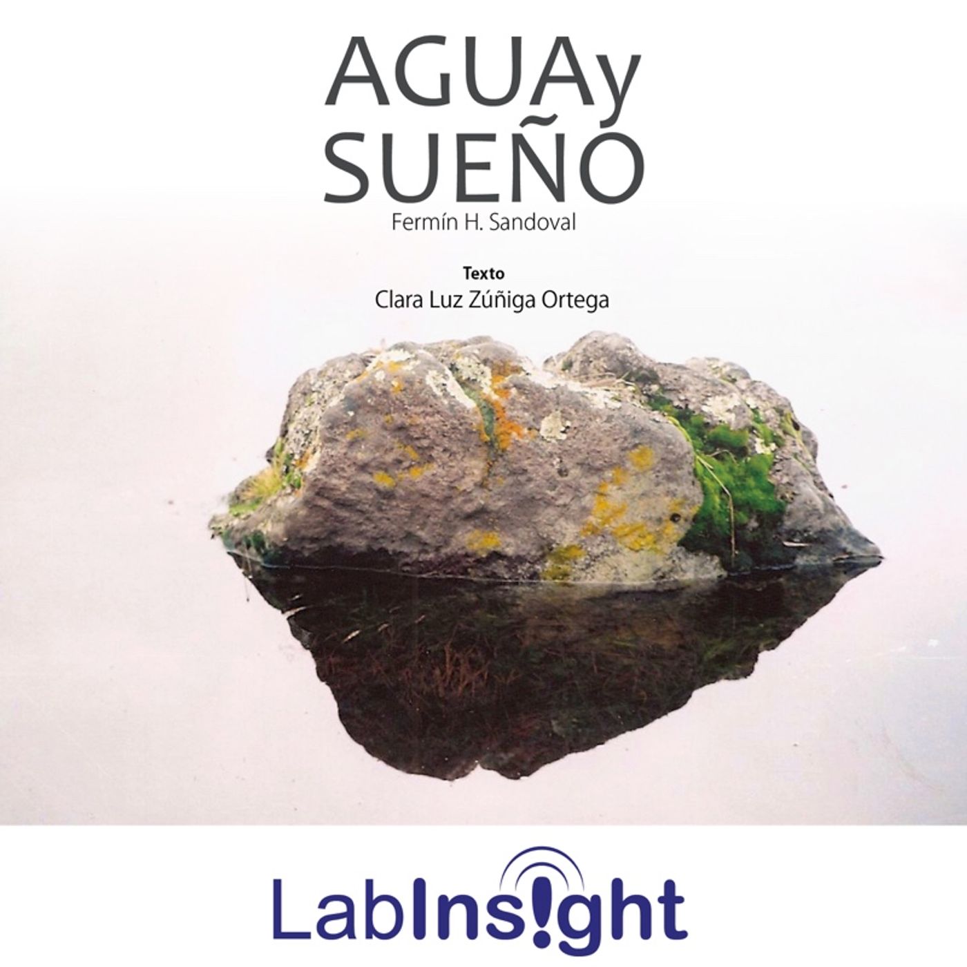 LabInsight