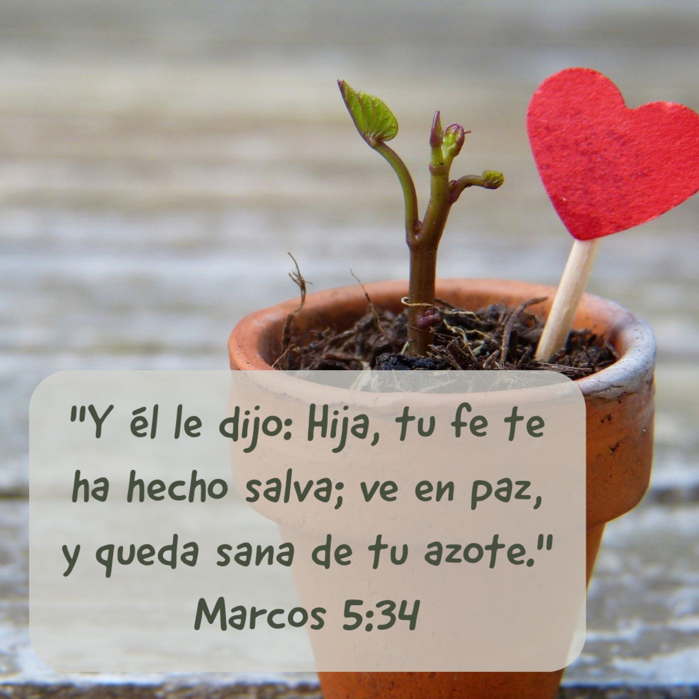 Evangelio de Marcos