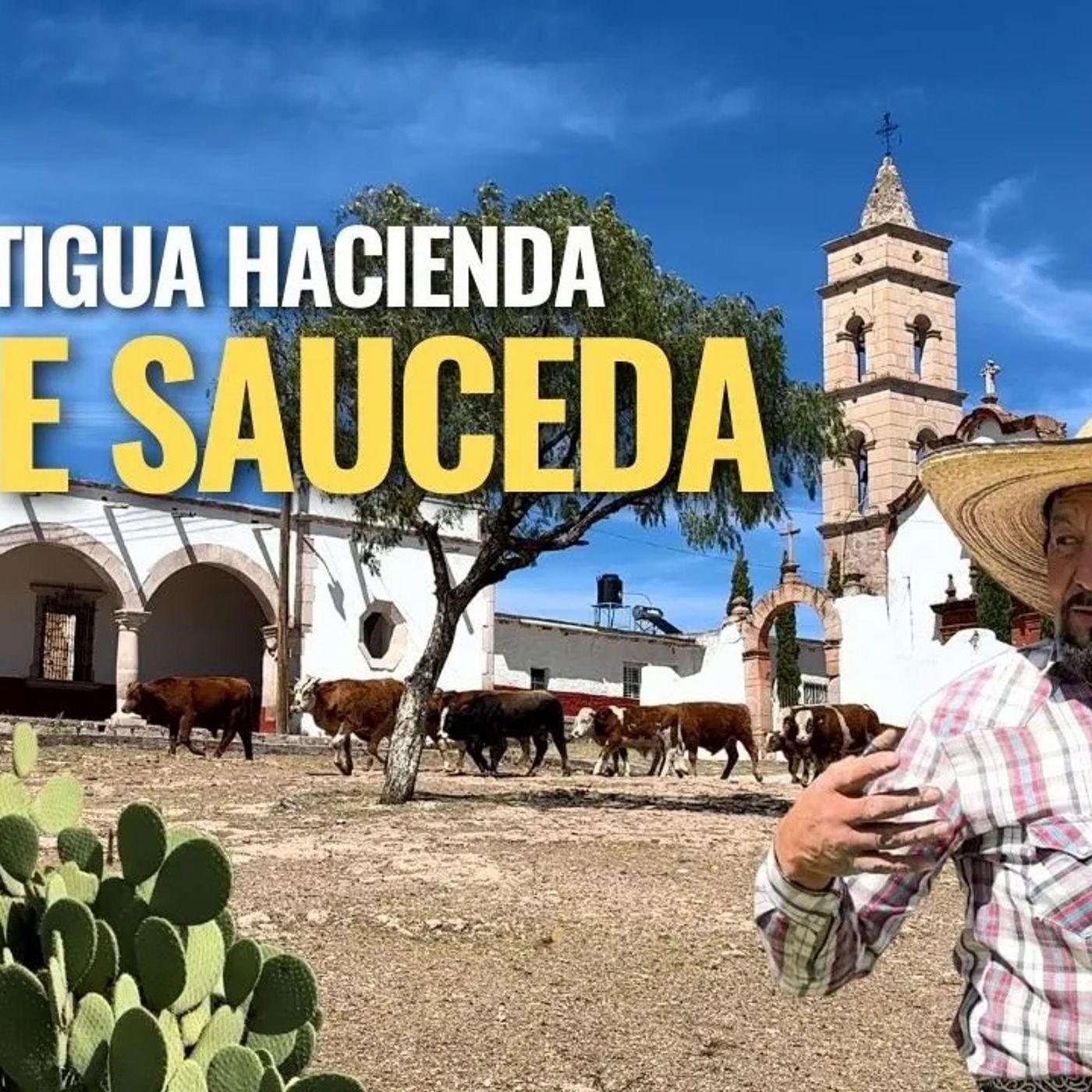 _EN ESTOS LUGARES ABANDONADOS LA GENTE BUSCA TESOROS_