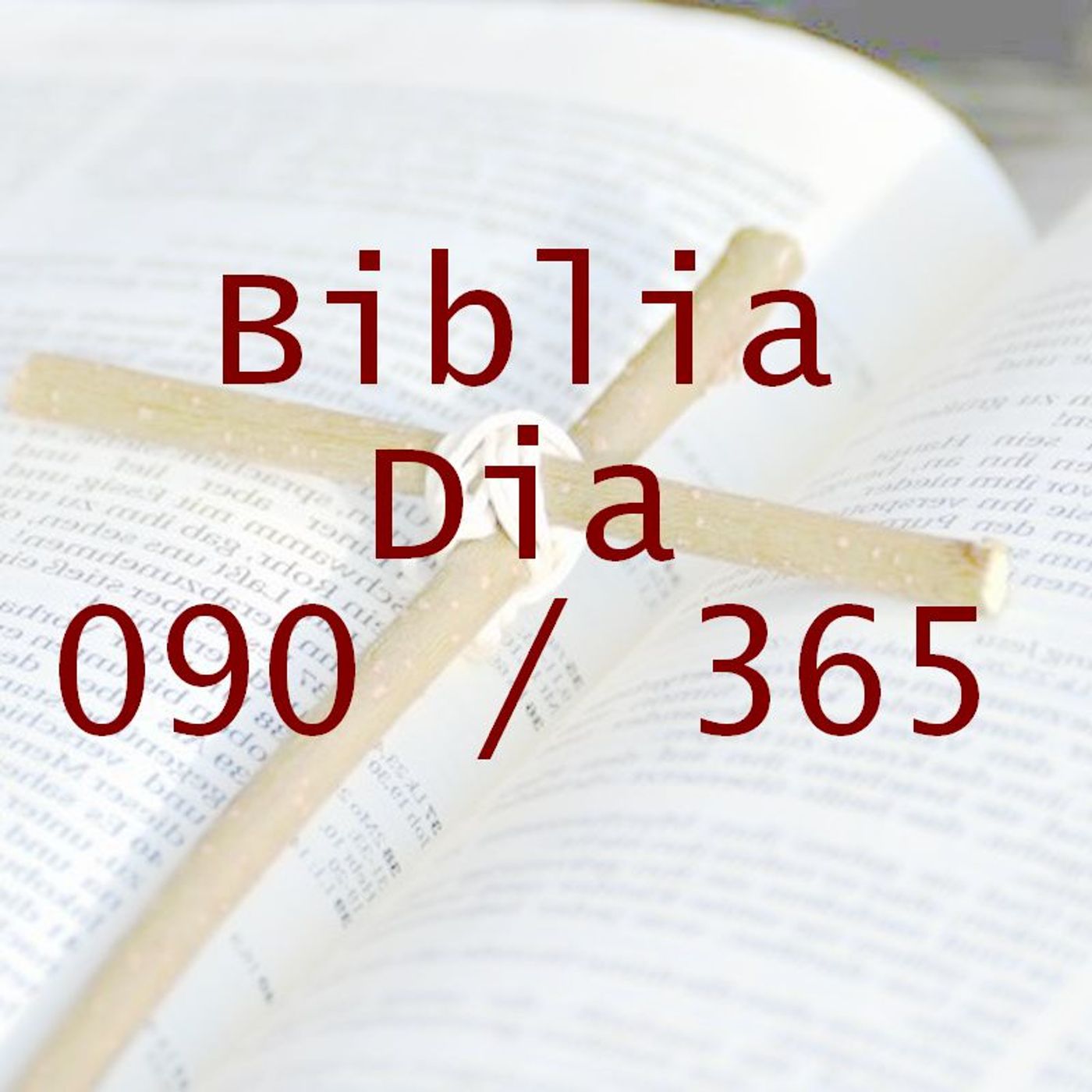 La Biblia en 365 dias