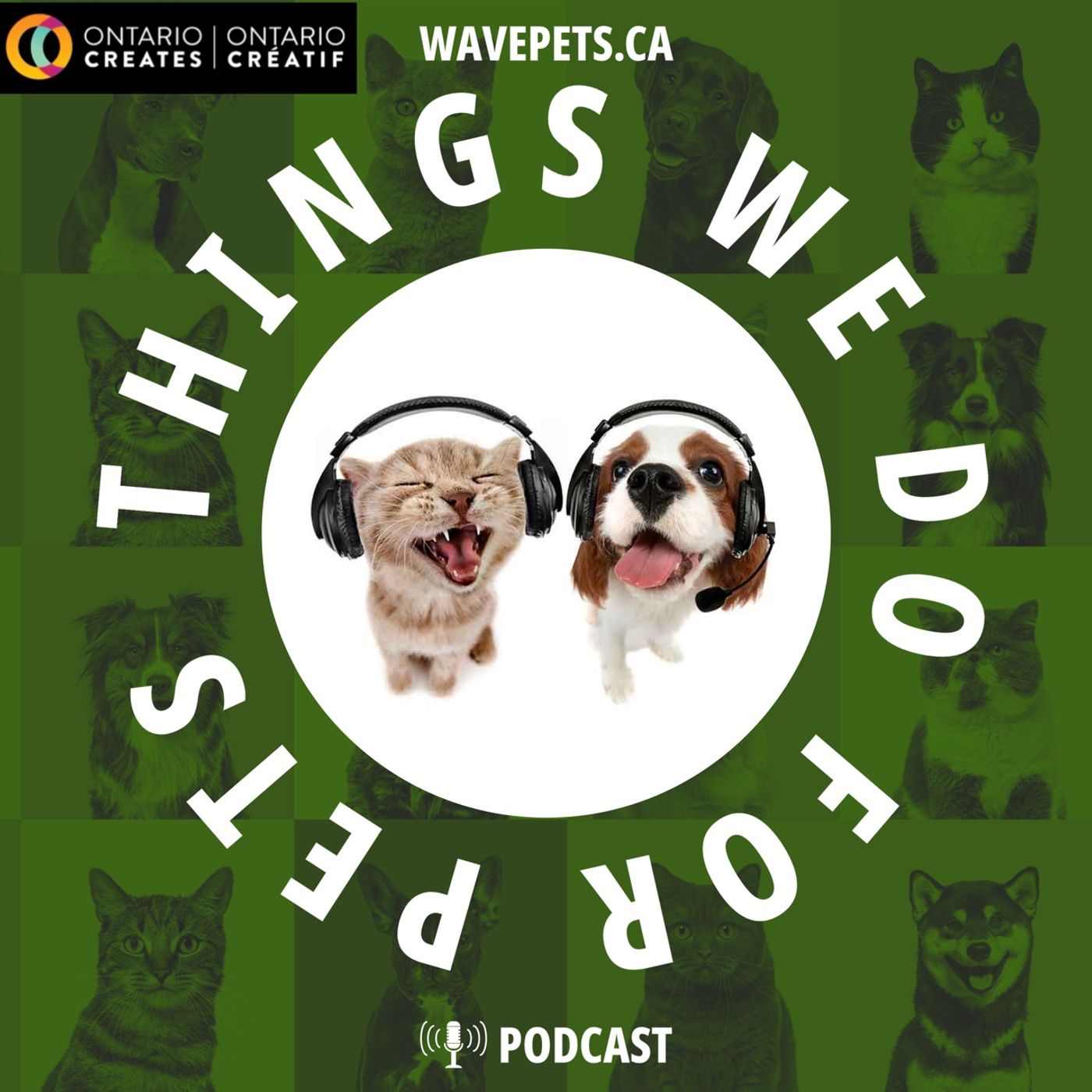 Things We Do For Pets