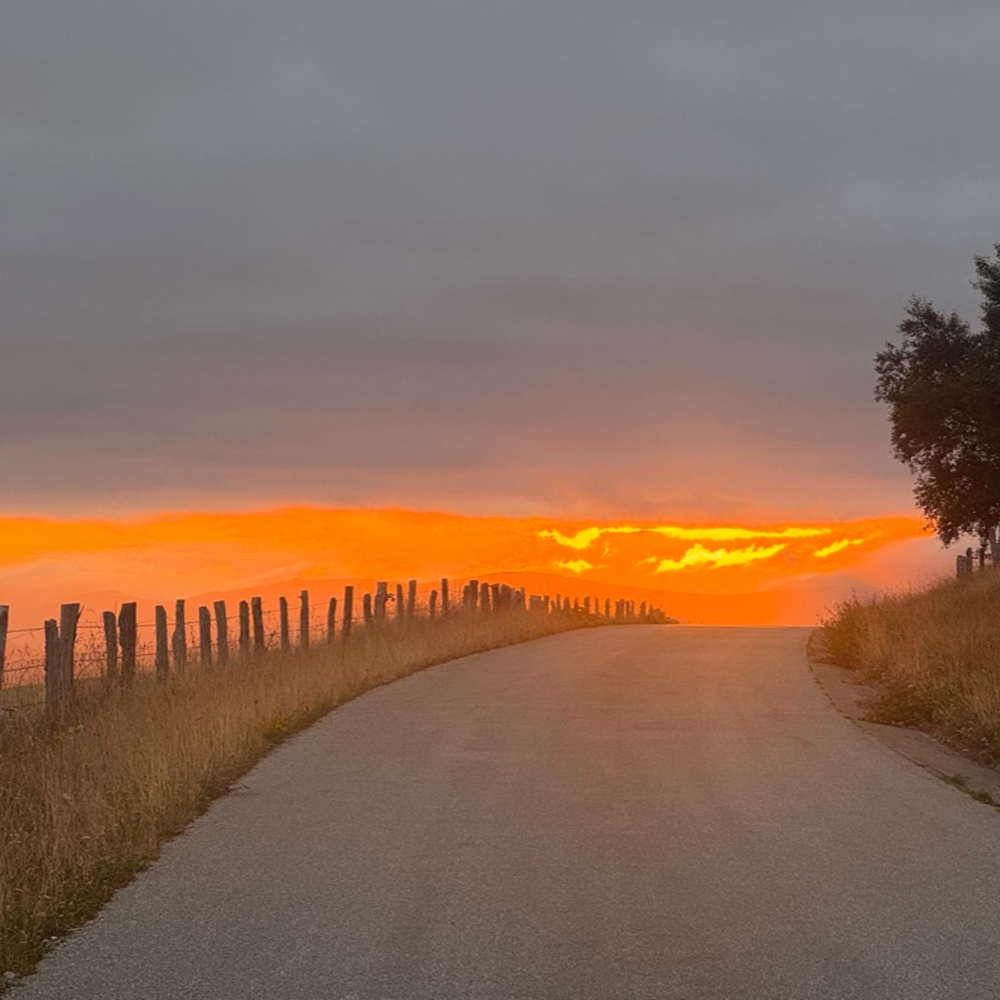 Episodio 24 - Discese e poi salite