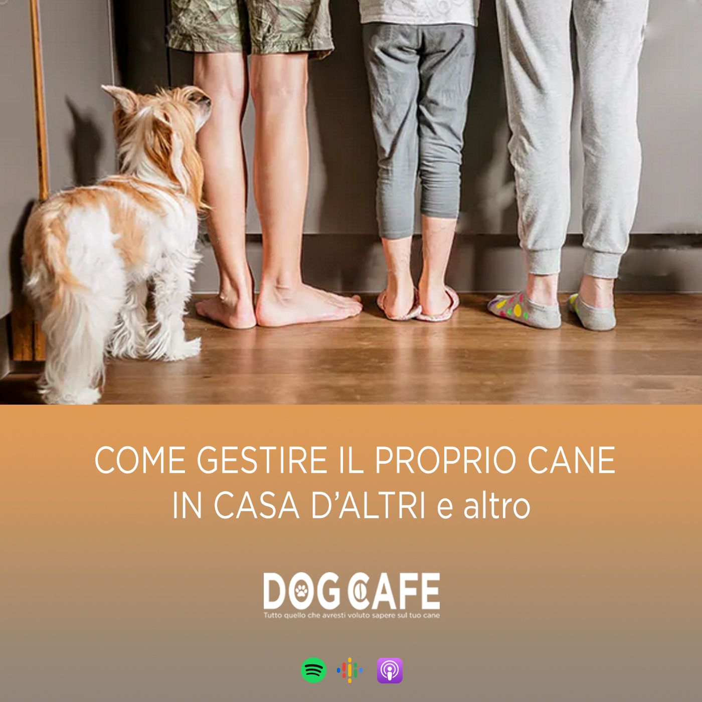 Dog Cafe Podcast