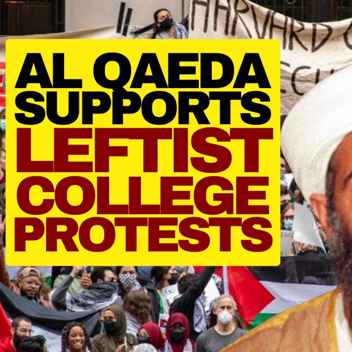 Al Qaeda Supports Leftist College Protesters episode artwork