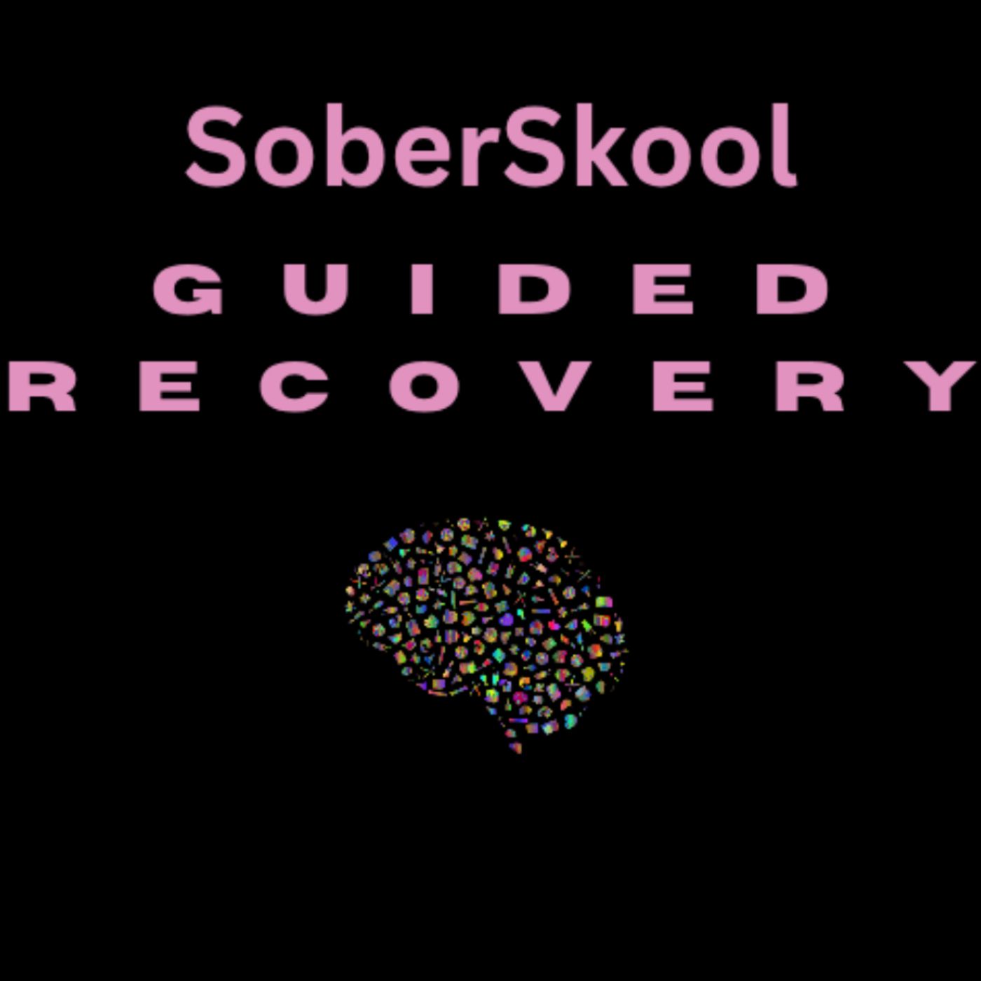 SoberSkool