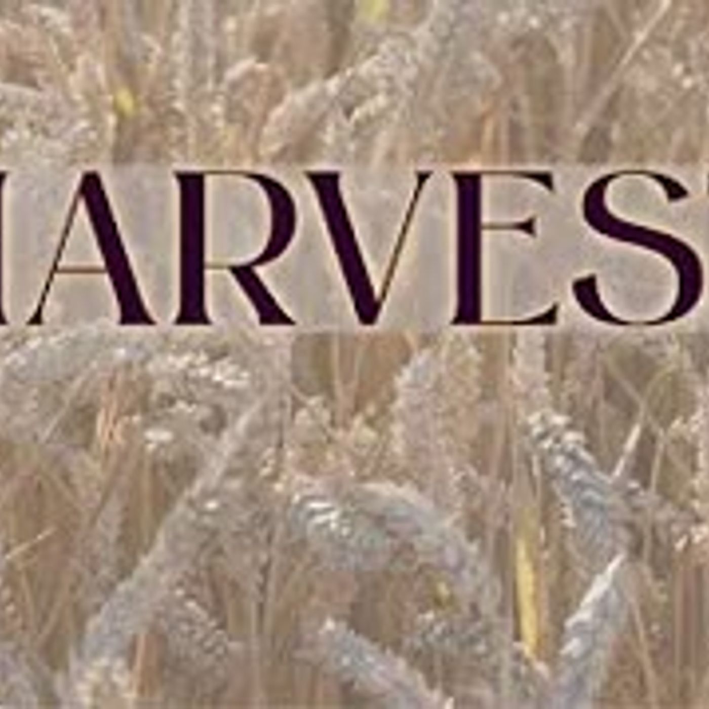 Valley View Chapel Live Stream - November 12, 2023