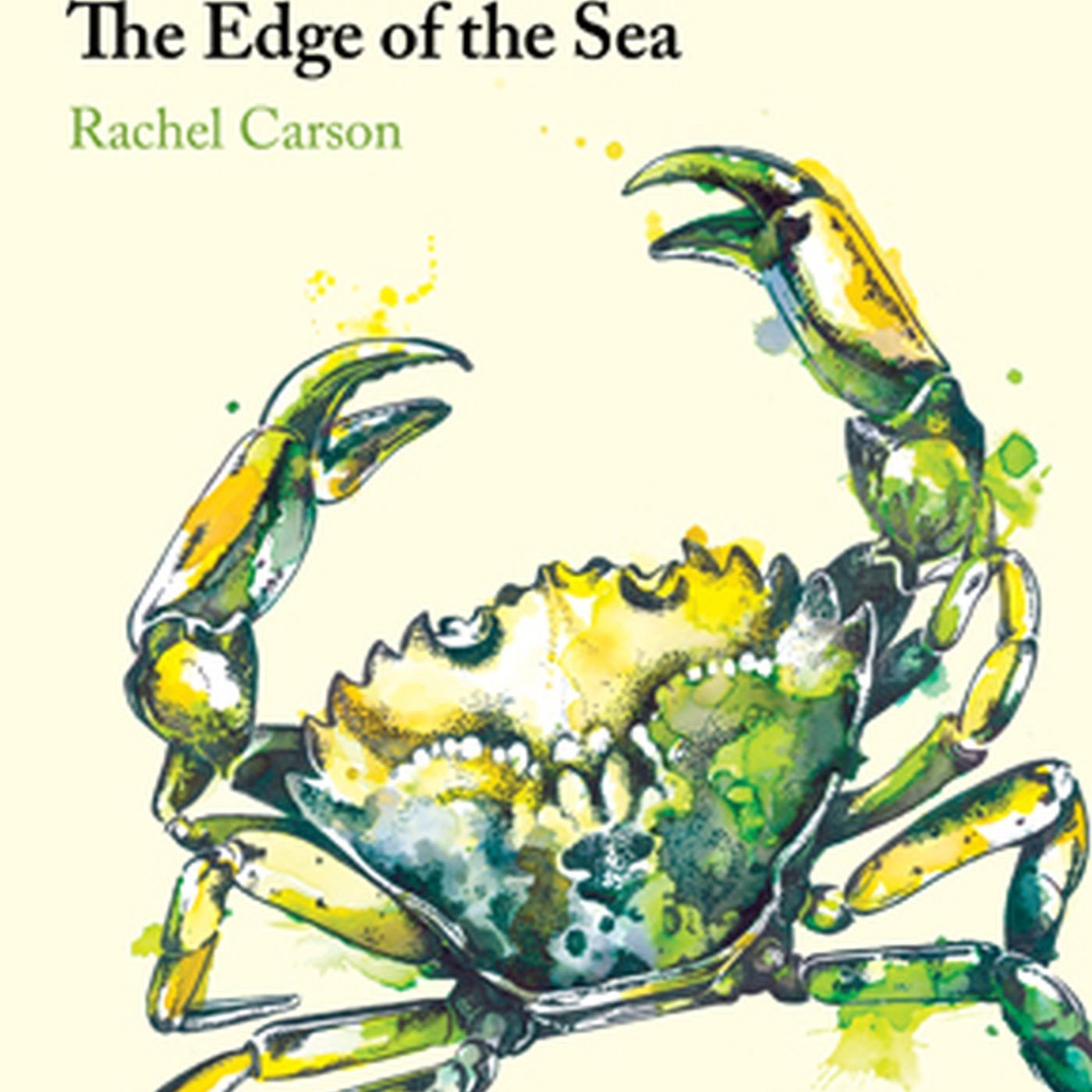 Backspace: Essays on Everything with Michelle Kennedy
