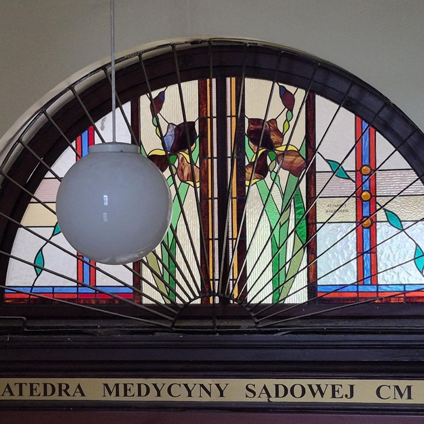 Grzegórzecka 16. Światowe zbiory medycyny sądowej w sercu Krakowa episode artwork