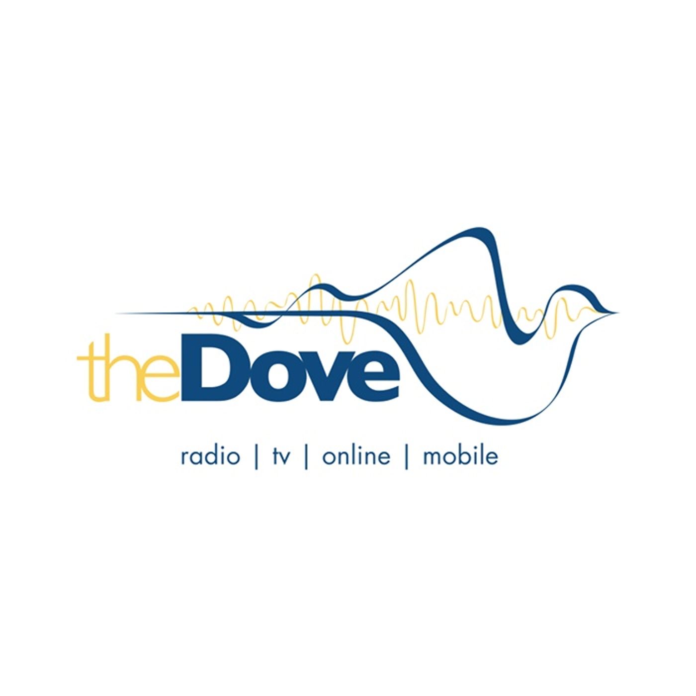 The Action Radio Zone On Spreaker Now
