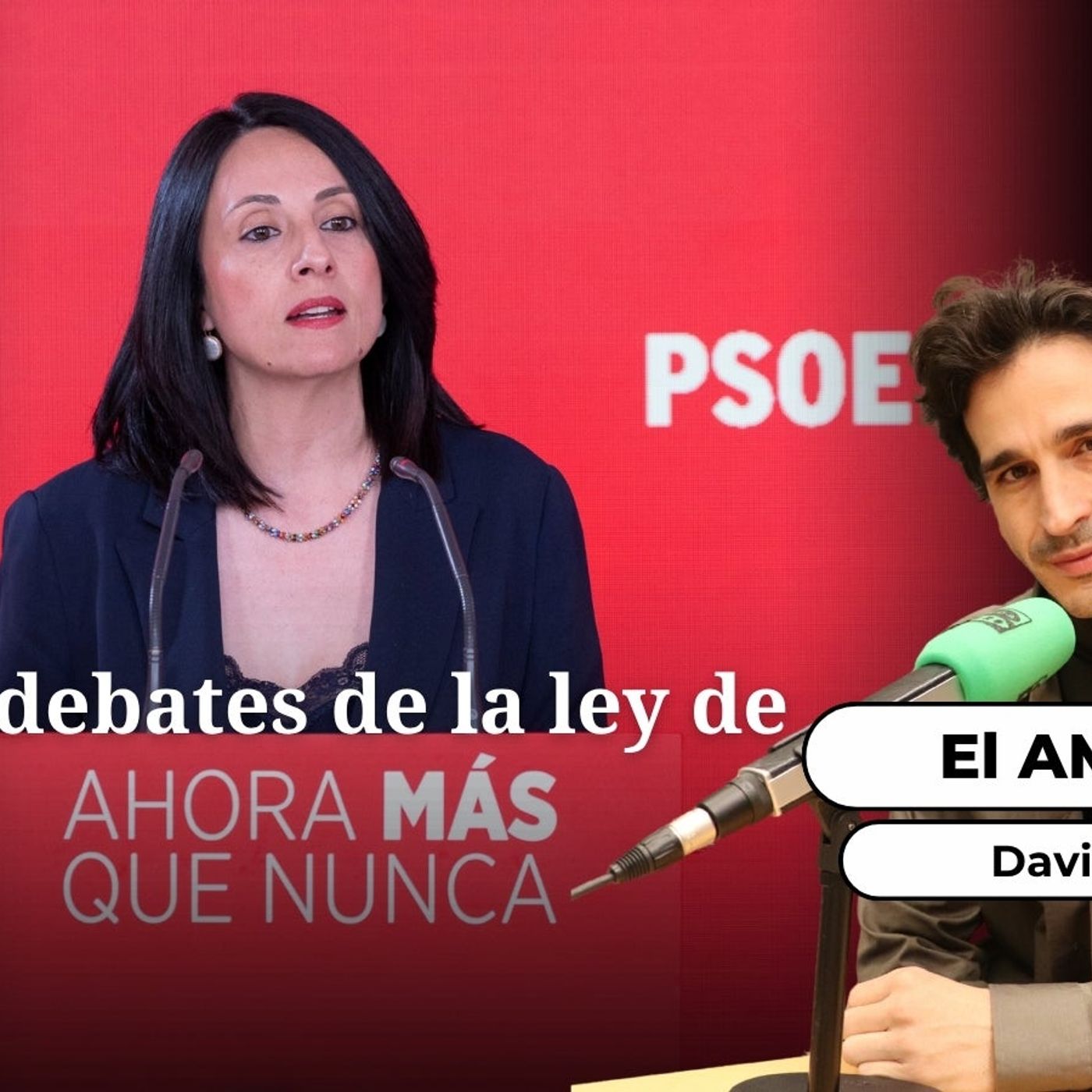 El Ambigú: "Los tres debates de la ley de nietos"