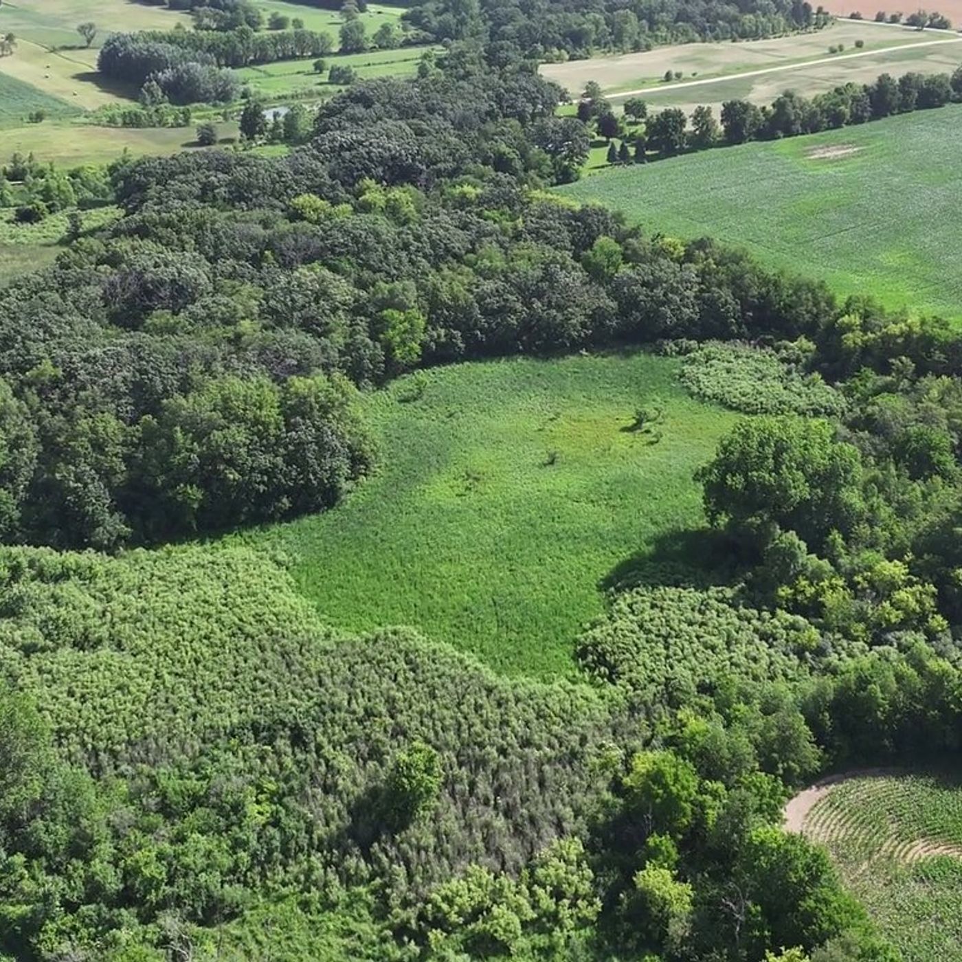 Kane County Forest Preserve acquires 220 ‘quality’ acres for $3.14M near Hampshire episode artwork