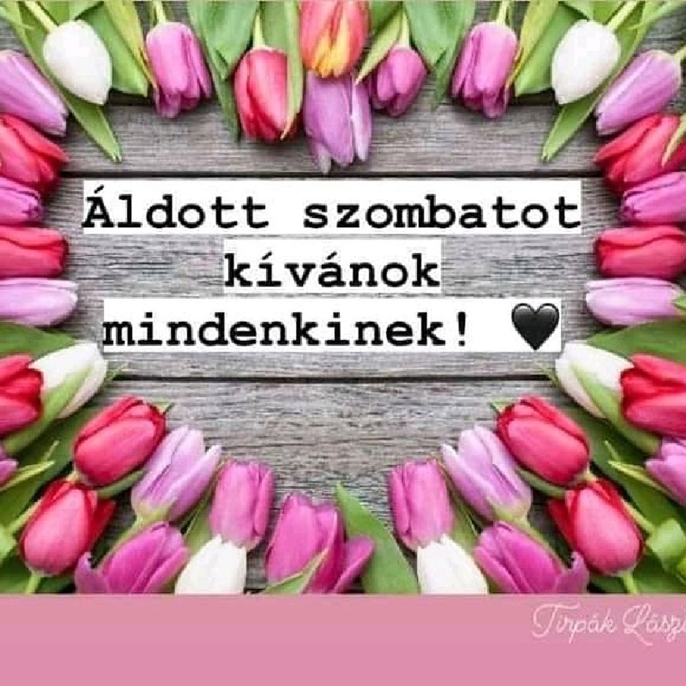 Bibliai üzenet 📖
