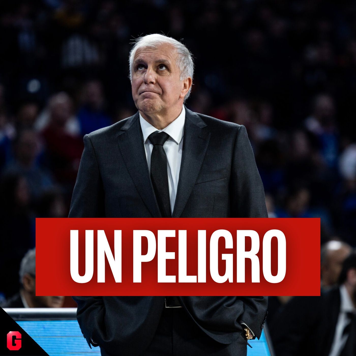 Gigantes Daily, baloncesto al día