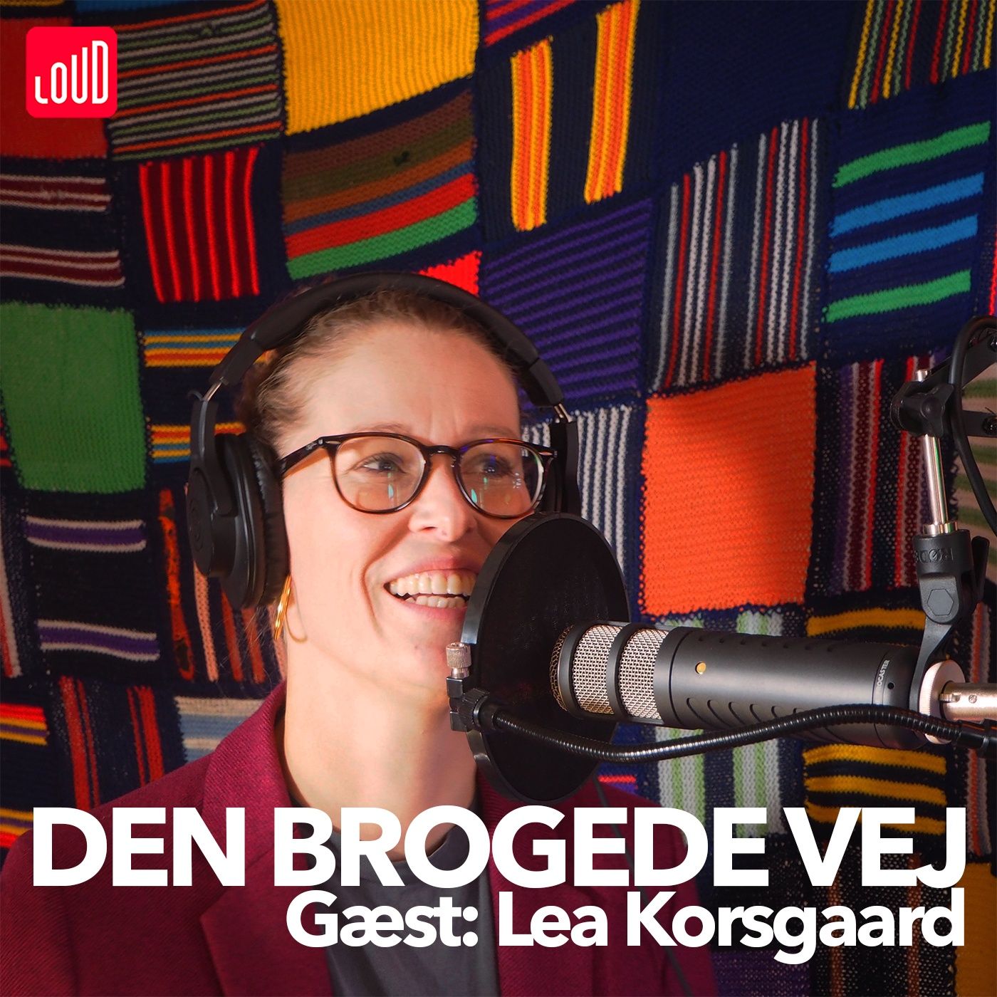 Den Brogede Vej