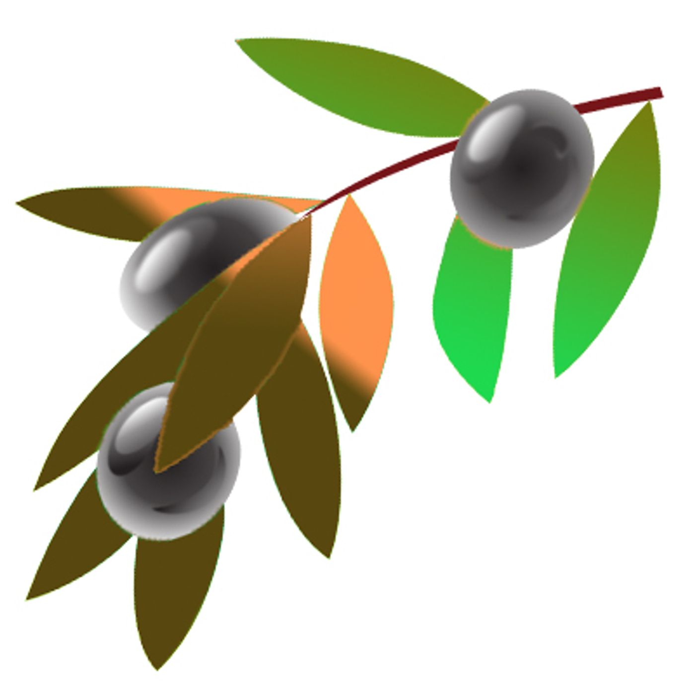 Xylella
