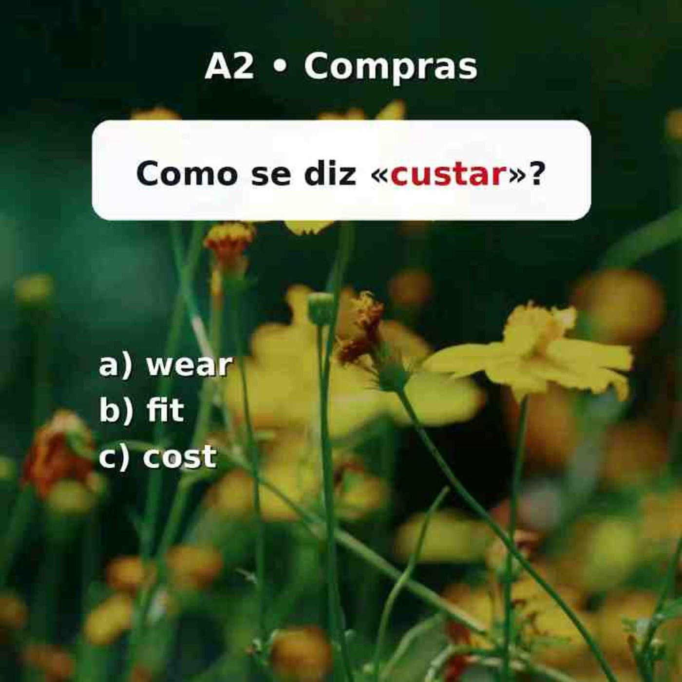 4 perguntas sobre «compras». Teste seu inglês. episode artwork