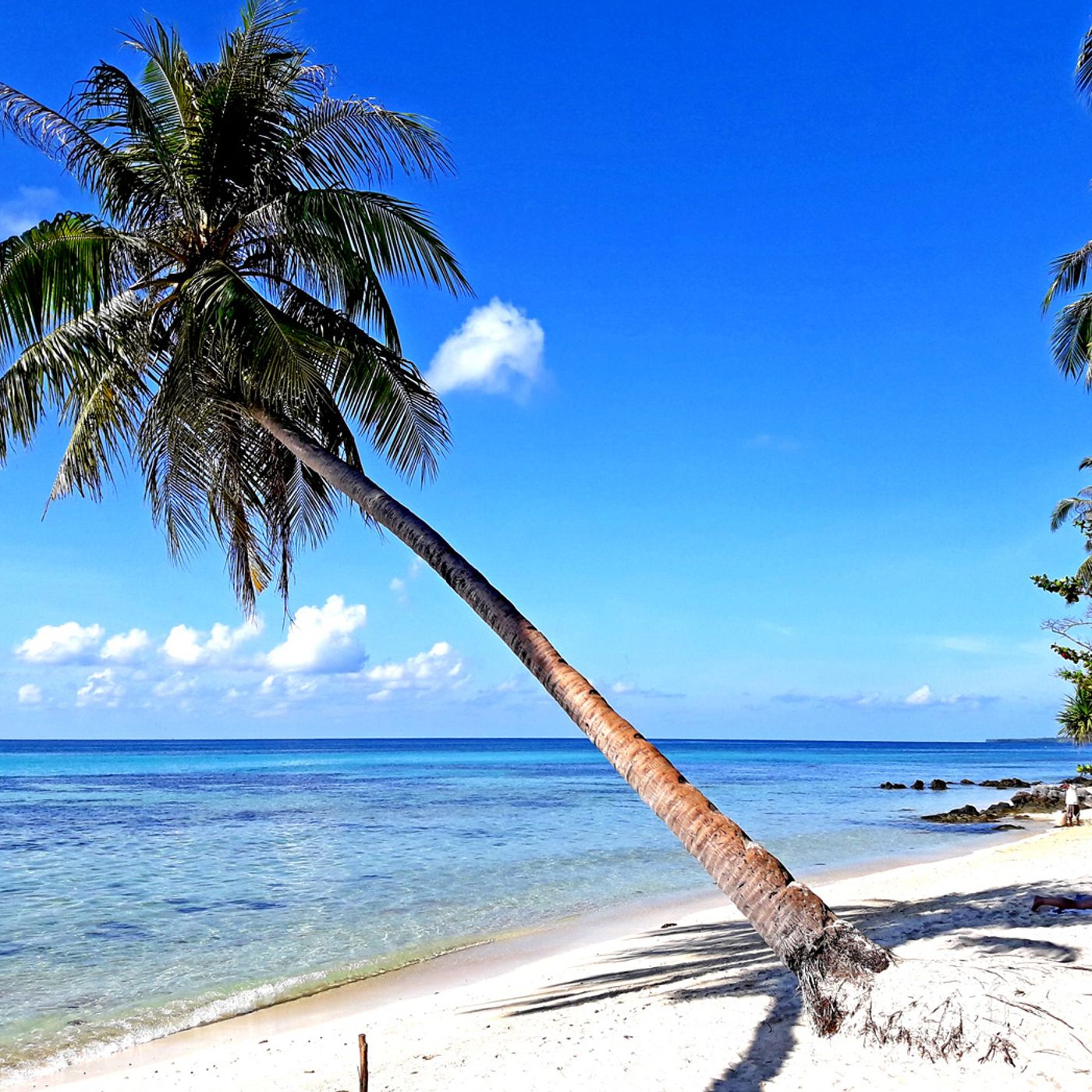 Ercole now again rdaradio 2 WRA cover art