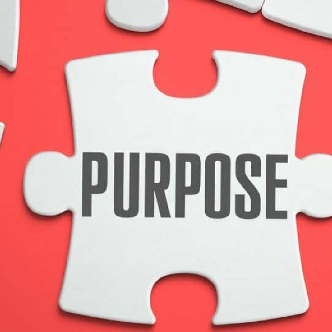 Purpose Pt 3 (Hebrew): A Biblical Perspective