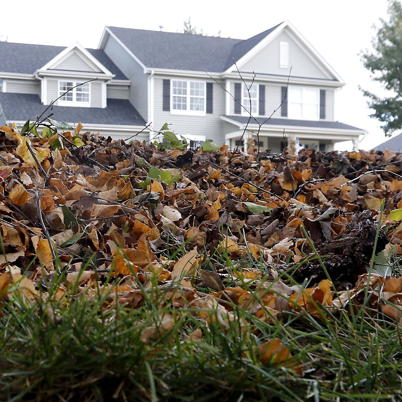 After halt to fall leaf pickup, McHenry will resume collections in spring episode artwork