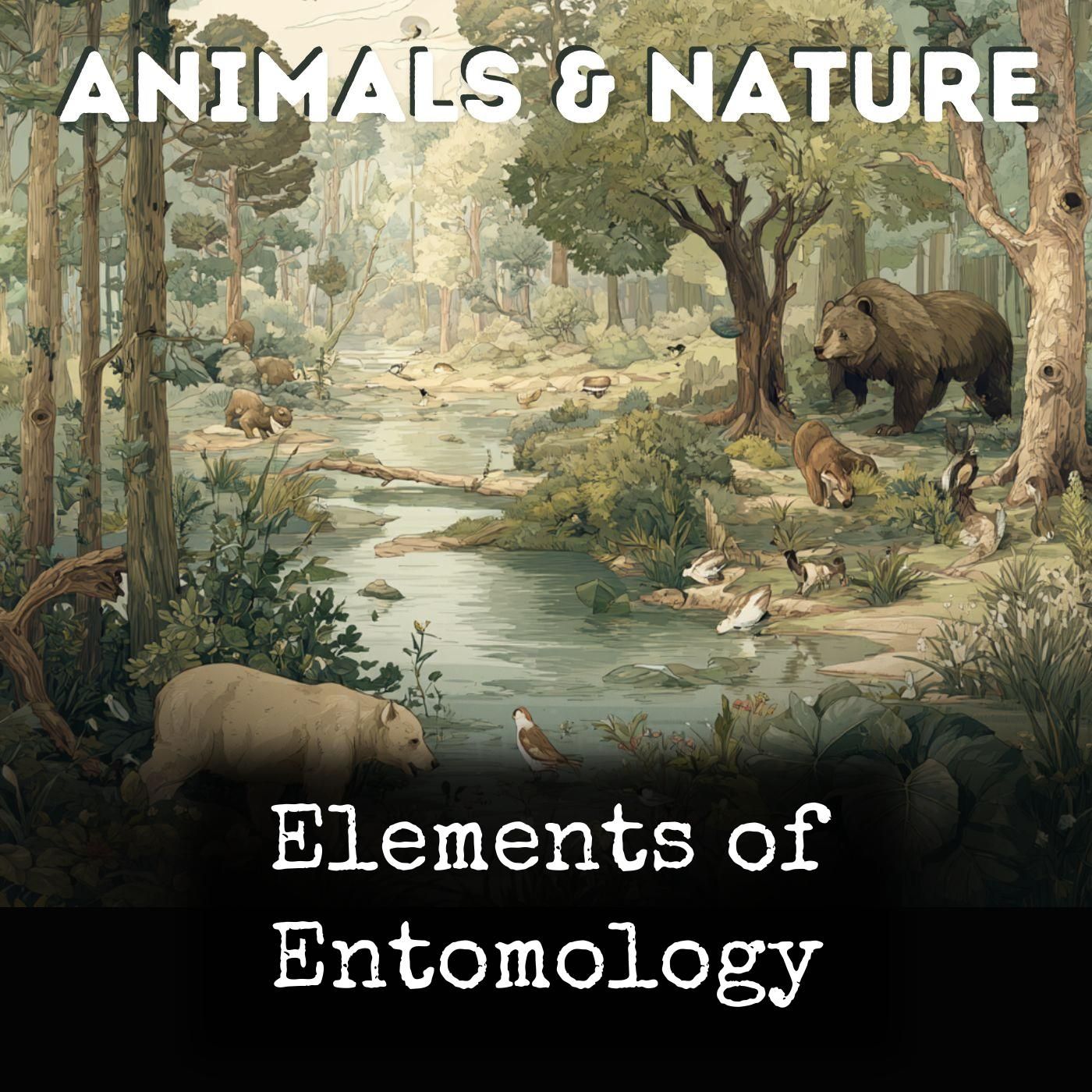 Elements of Entomology cover art