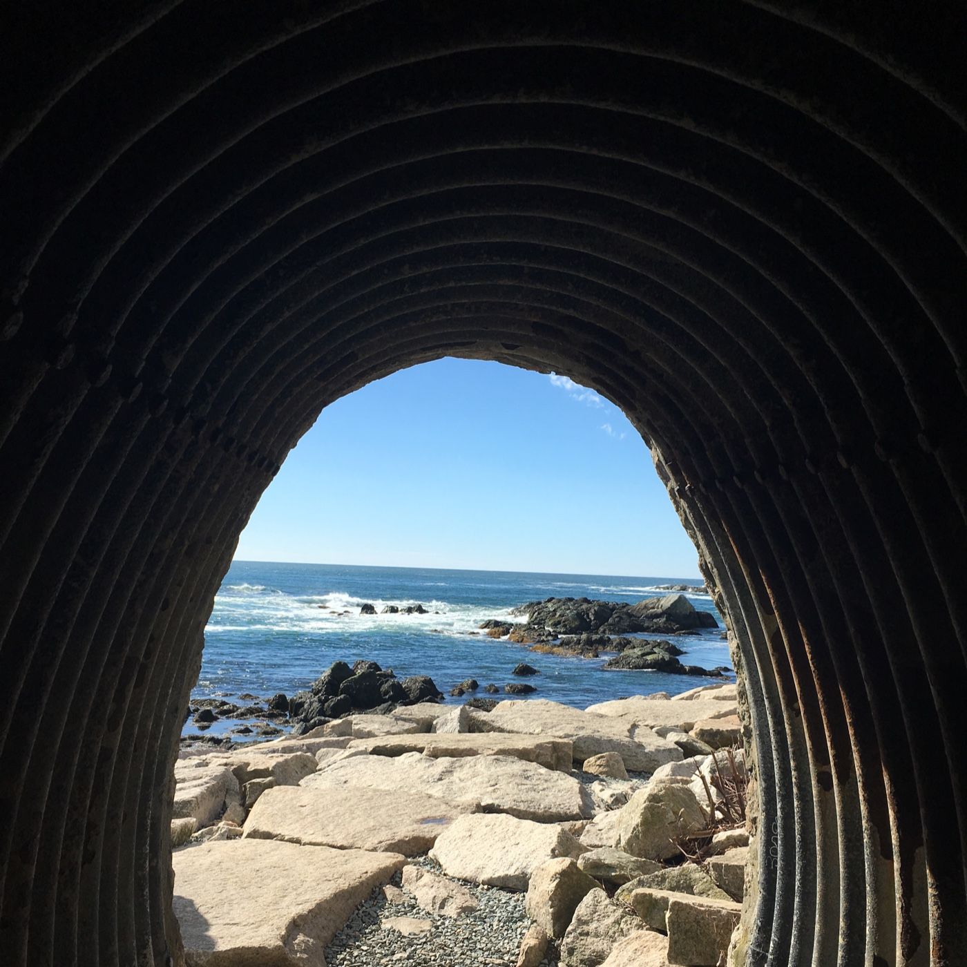 what@you need's podcast