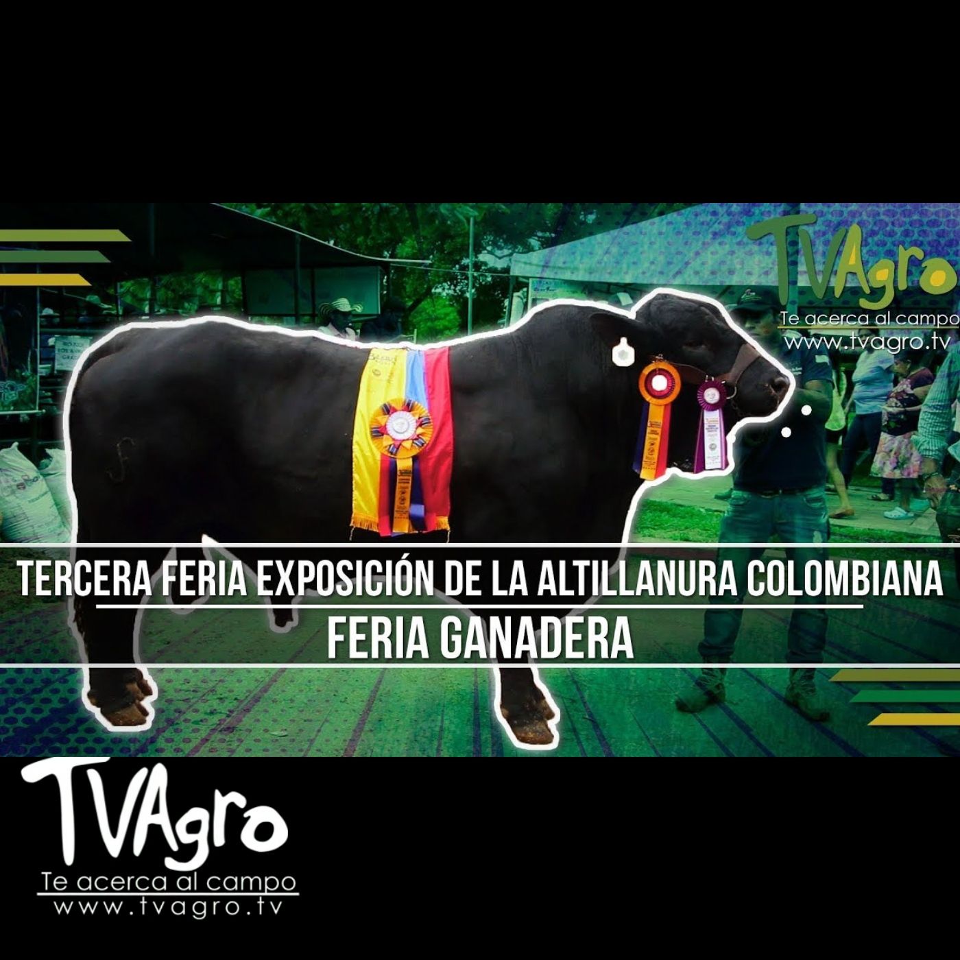 TV AGRO