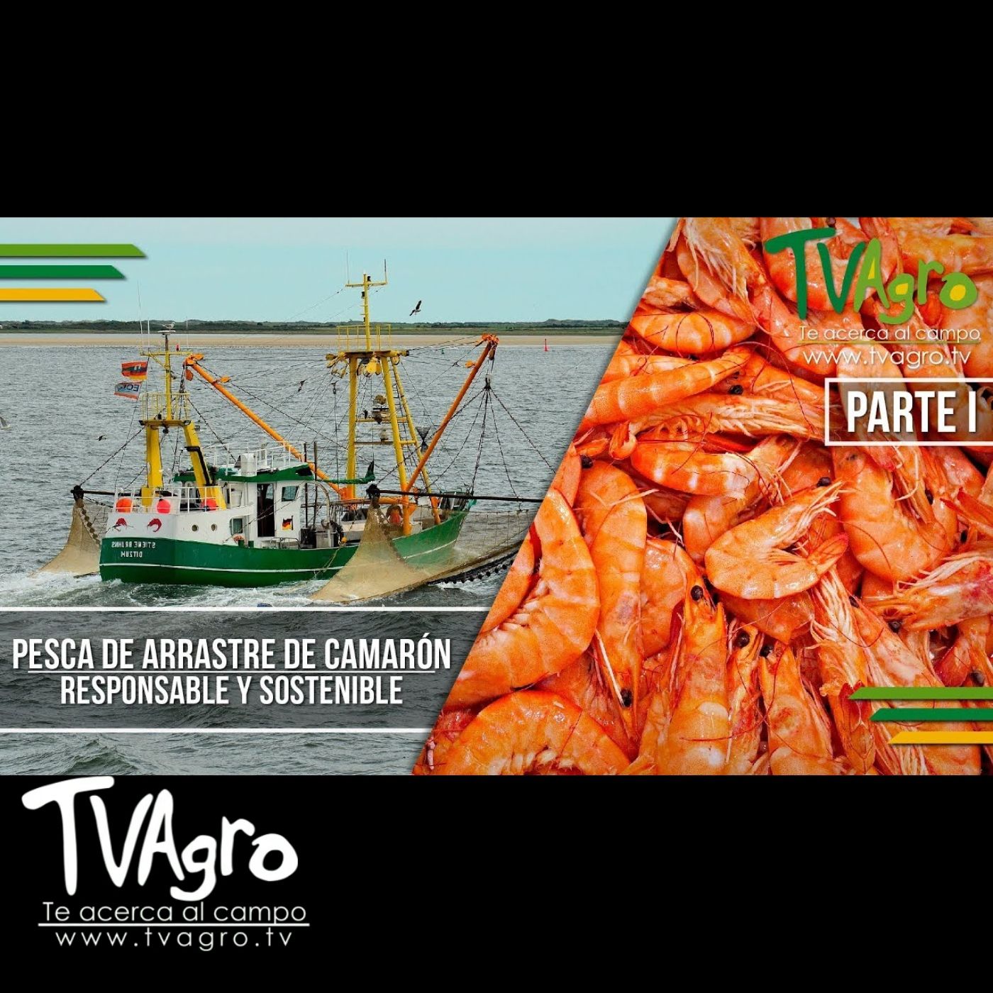 TV AGRO