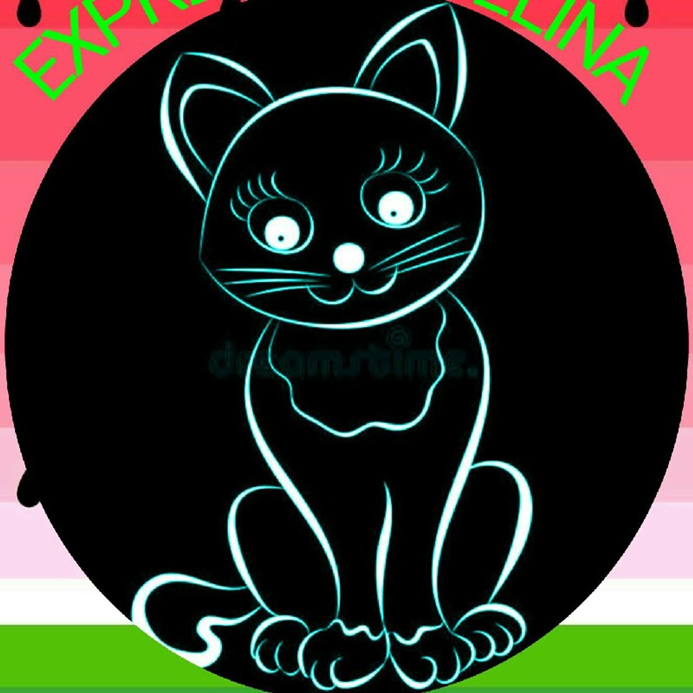 CAT CAST EXPRESSÃO FELINA