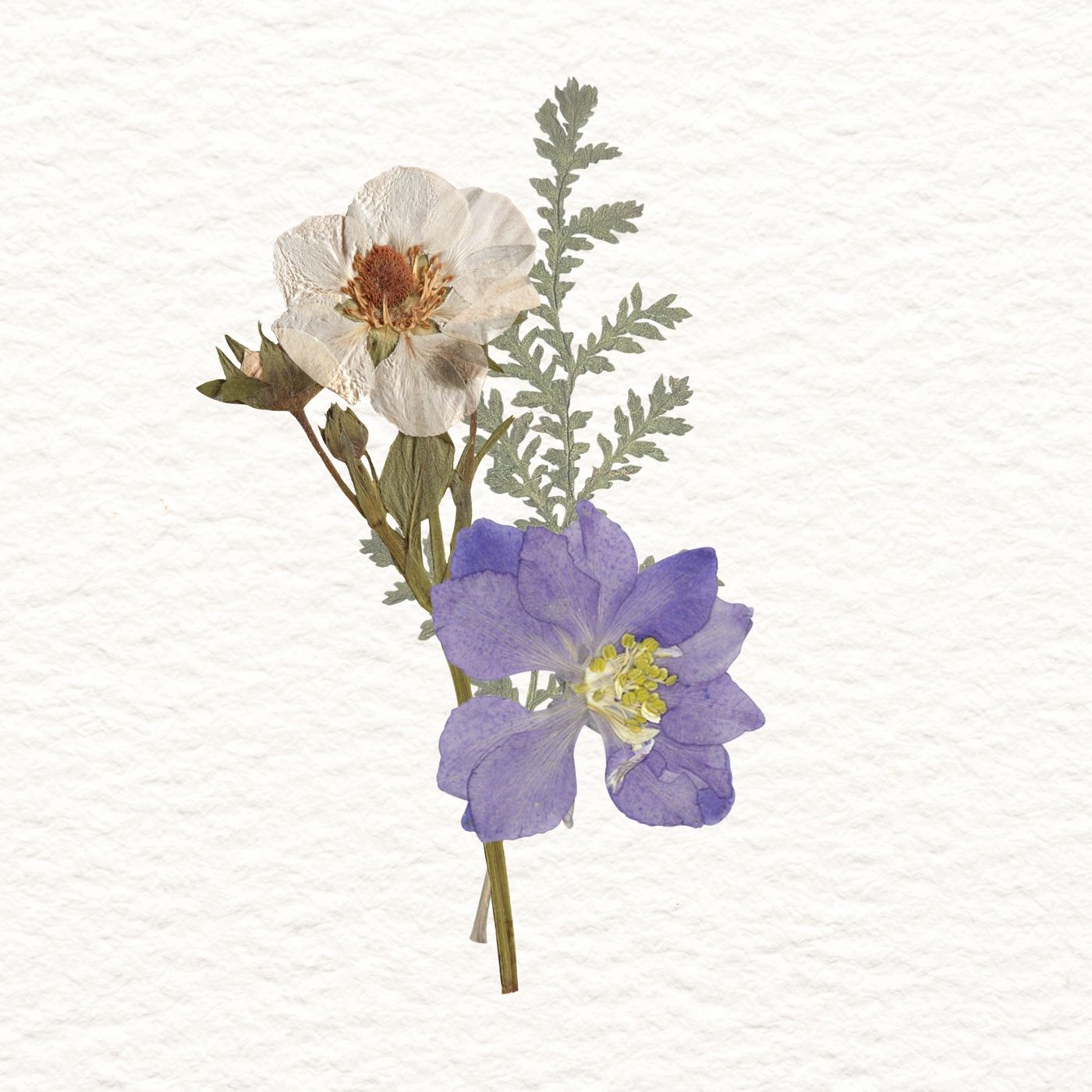 gsWOMEN Beautifully Flawed